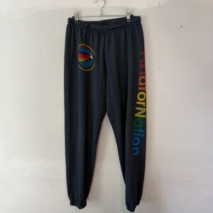 Aviator Nation Vail Sweatpants Logo Charcoal Grey XL Colorado SOLD OUT